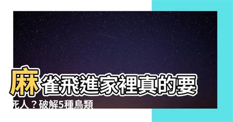 麻雀飛進家裡|一隻麻雀飛進家裡預示,麻雀飛進家裡代表什麼意思？